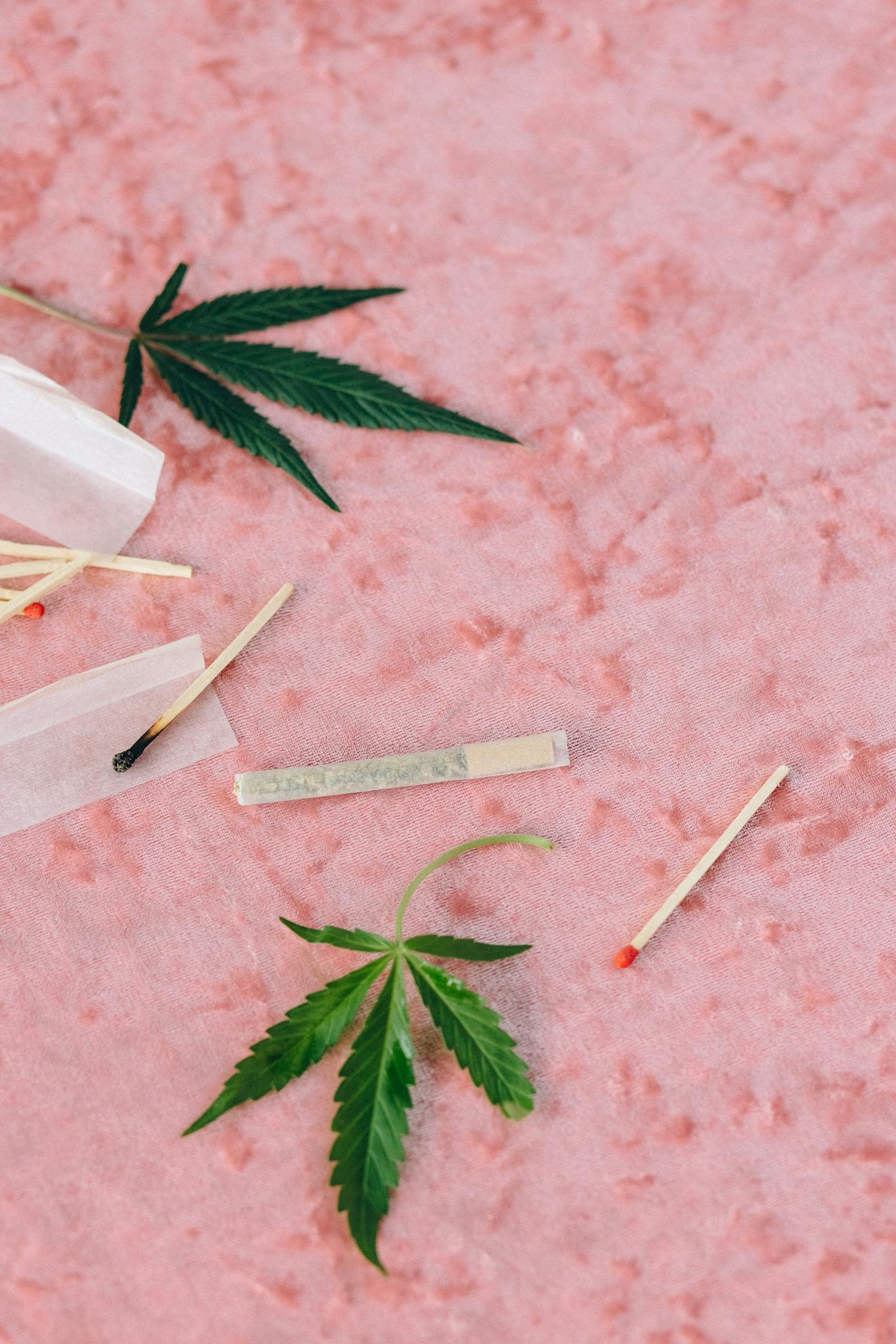 Artistic flat lay of cannabis leaves and matches on a textured pink background.